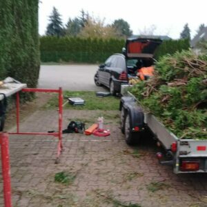 procura gartenbau