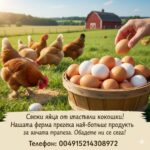 Яйцата са от свободно отглеждани, щастливи кокошки. Постоянно предлагаме пресни яйца в различни размери между S и XL.
